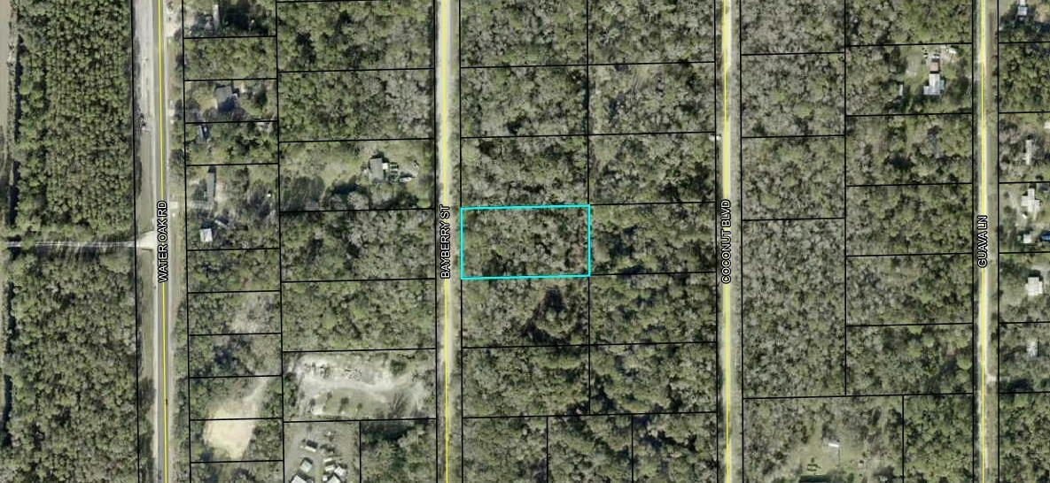 1881 BAYBERRY ST, BUNNELL, FL 32110, photo 1 of 6