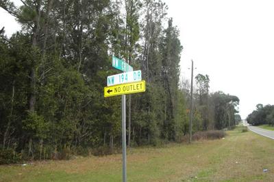 NW CR 236, HIGH SPRINGS, FL 32643, photo 2 of 8
