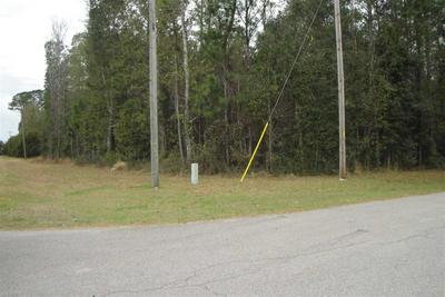 NW CR 236, HIGH SPRINGS, FL 32643, photo 4 of 8
